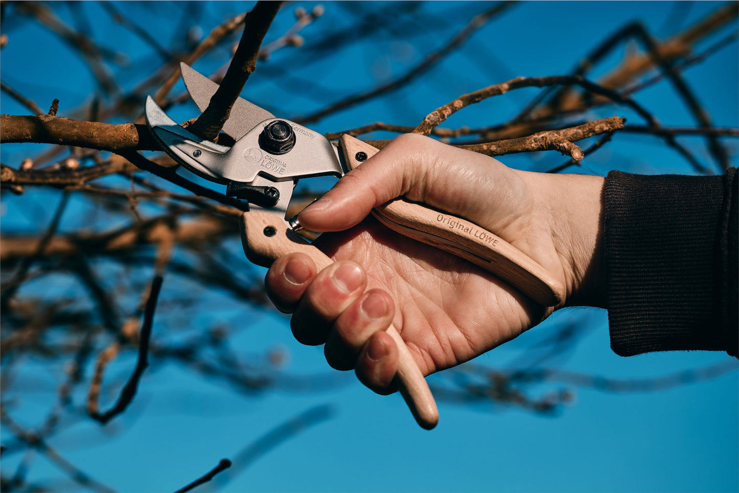 Original LÖWE 8 Natural Gartenschere